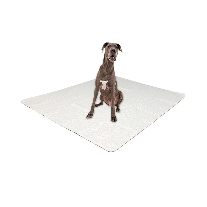 Midlee Washable Pad for Dogs 60" x 72" Pack of 3 - Image 1